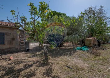 Giardino - Villa c/da marcimino sp48
 
SN, Caltagirone - foto 3