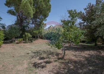 Giardino - Villa c/da marcimino sp48
 
SN, Caltagirone - foto 40