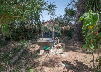 Giardino - Villa c/da marcimino sp48
 
SN, Caltagirone - foto 41