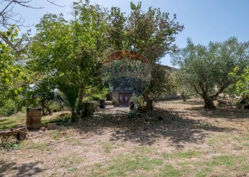 Giardino - Villa c/da marcimino sp48
 
SN, Caltagirone - foto 42