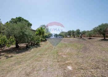 Giardino - Villa c/da marcimino sp48
 
SN, Caltagirone - foto 43