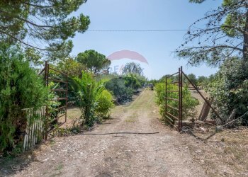 Giardino - Villa c/da marcimino sp48
 
SN, Caltagirone - foto 44