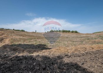 Vista delle montagne - Villa c/da marcimino sp48
 
SN, Caltagirone - foto 46