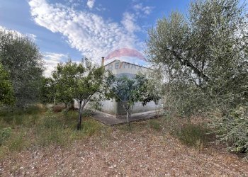 esterno - Villa Contrada Calma
 
37, Vieste - foto 6