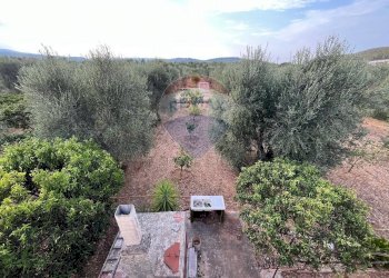 frutteto - Villa Contrada Calma
 
37, Vieste - foto 29