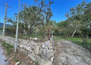 Foto 1 - Terreno agricolo via sa francesco, Avella - foto 1