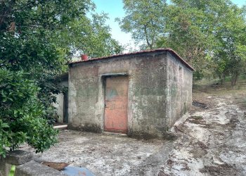 Foto 4 - Terreno agricolo via sa francesco, Avella - foto 4