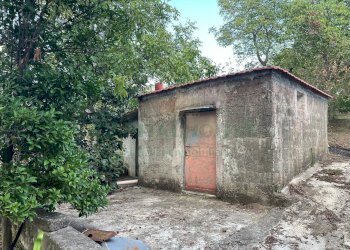 Foto 5 - Terreno agricolo via sa francesco, Avella - foto 5