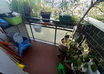 Foto 7 - Bilocale Viale Umbria
 
4, Cinisello Balsamo - foto 7