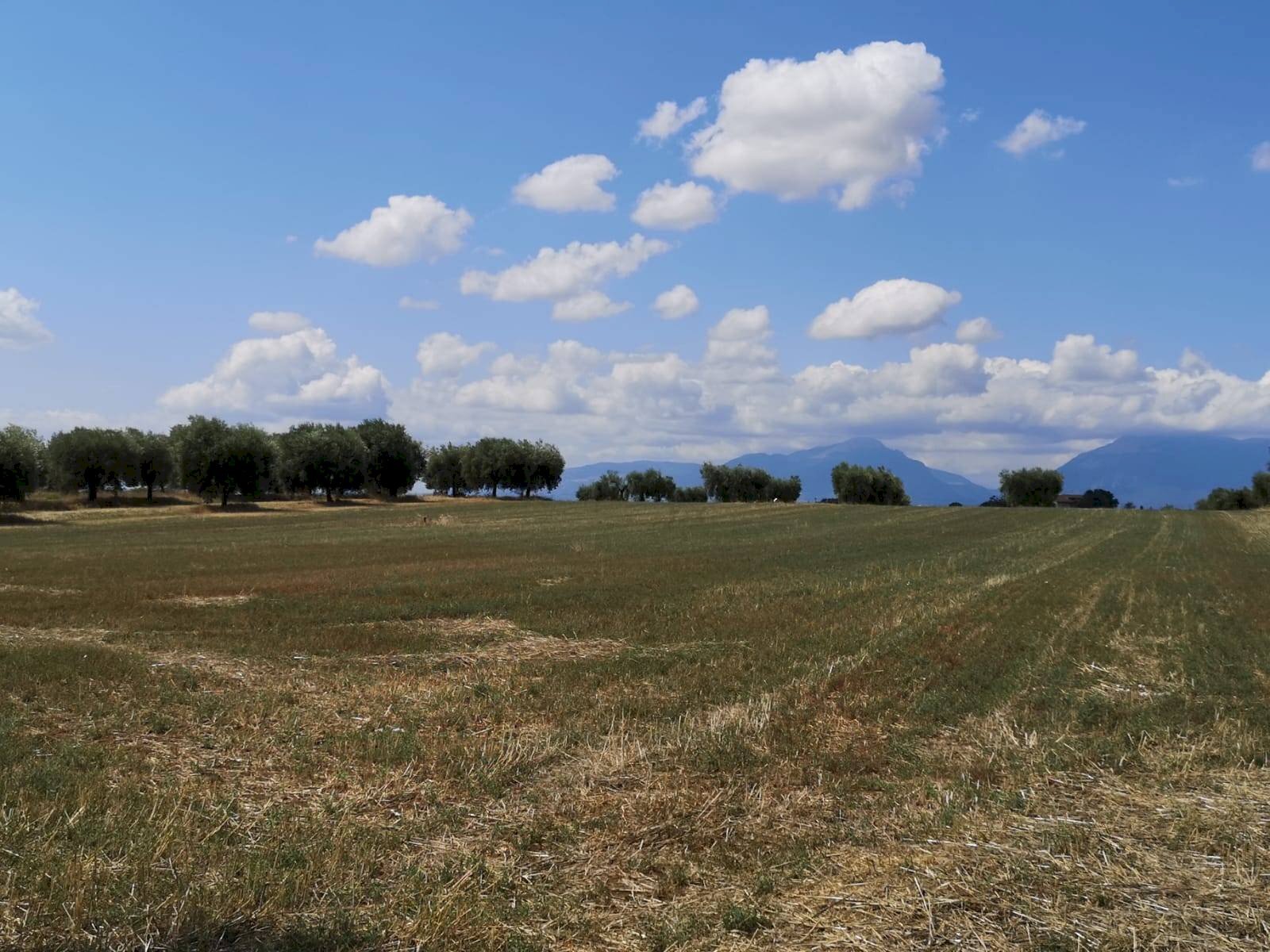 Foto 2 - Villa contrada Ravigliano
 
snc, Corropoli - photo 2