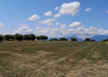 Foto 2 - Villa contrada Ravigliano
 
snc, Corropoli - foto 2