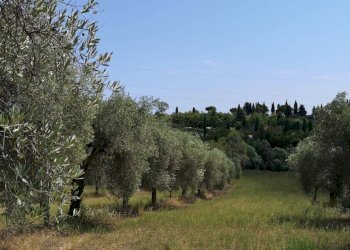 Foto 8 - Villa contrada Ravigliano
 
snc, Corropoli - foto 8