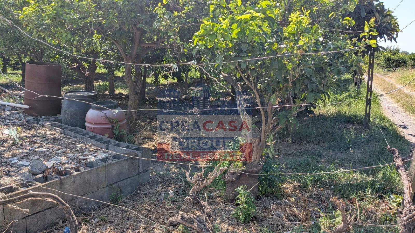 Foto 2 - Terreno agricolo Calatabiano - foto 2