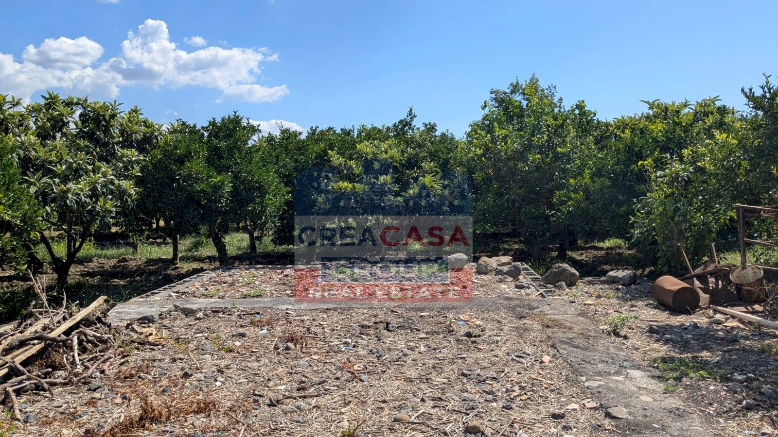 Foto 3 - Terreno agricolo Calatabiano - foto 3