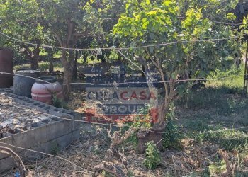 Foto 2 - Terreno agricolo Calatabiano - foto 2