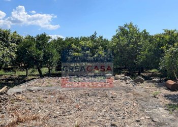 Foto 3 - Terreno agricolo Calatabiano - foto 3