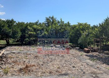 Foto 4 - Terreno agricolo Calatabiano - foto 4
