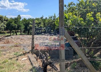 Foto 5 - Terreno agricolo Calatabiano - foto 5