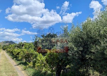 Foto 8 - Terreno agricolo Calatabiano - foto 8