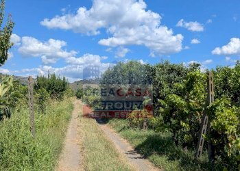 Foto 10 - Terreno agricolo Calatabiano - foto 10