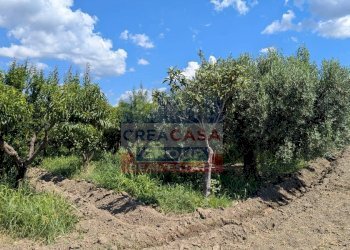 Foto 12 - Terreno agricolo Calatabiano - foto 12