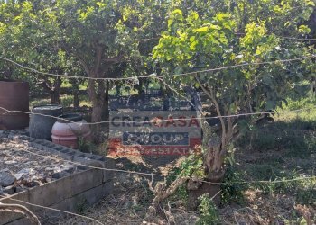 Foto 13 - Terreno agricolo Calatabiano - foto 13