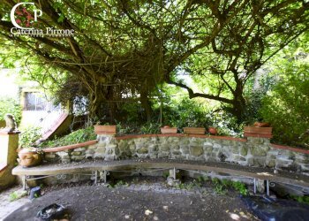 Foto 5 - Villa strada provinciale 551
 
75, Vicchio - foto 5