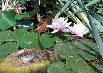 Foto 14 - Villa strada provinciale 551
 
75, Vicchio - foto 14