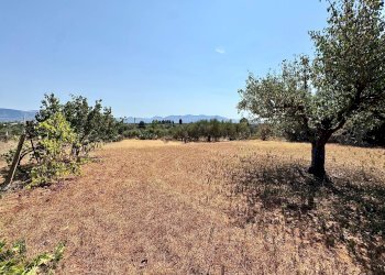 Foto 23 - Villa Contrada Piano Di Tresca, Balestrate - foto 23