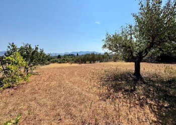 Foto 24 - Villa Contrada Piano Di Tresca, Balestrate - foto 24