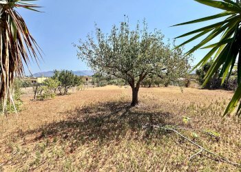 Foto 25 - Villa Contrada Piano Di Tresca, Balestrate - foto 25