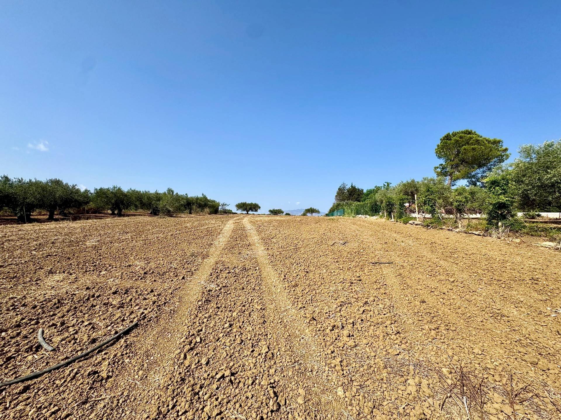 Foto 1 - Terreno agricolo Contrada Bellacera, Partinico - foto 1