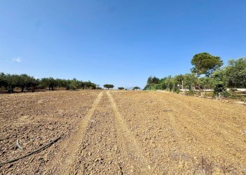 Foto 1 - Terreno agricolo Contrada Bellacera, Partinico - foto 1