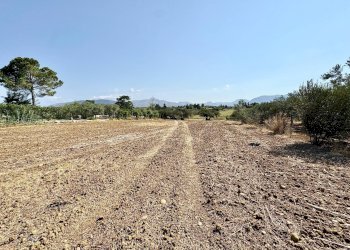 Foto 4 - Terreno agricolo Contrada Bellacera, Partinico - foto 4