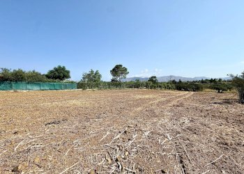 Foto 7 - Terreno agricolo Contrada Bellacera, Partinico - foto 7