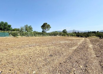 Foto 10 - Terreno agricolo Contrada Bellacera, Partinico - foto 10