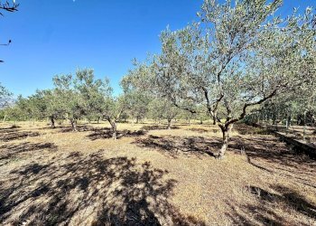 Foto 14 - Villa Contrada Bosco Falconeria, Partinico - photo 14