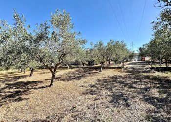 Foto 15 - Villa Contrada Bosco Falconeria, Partinico - photo 15