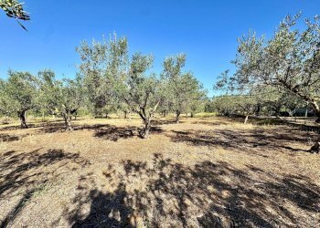 Foto 18 - Villa Contrada Bosco Falconeria, Partinico - photo 18