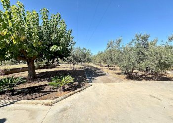 Foto 19 - Villa Contrada Bosco Falconeria, Partinico - photo 19