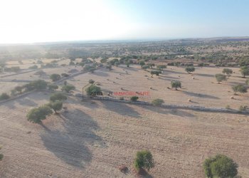 Foto 21 - Villa C.da Torre Mastro
 
snc, Ragusa - foto 21