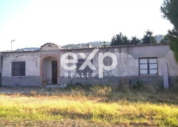 Villa Via Gallo, Davoli - foto 5