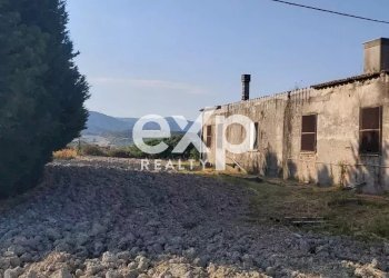Villa Via Gallo, Davoli - foto 10