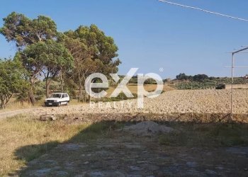 Villa Via Gallo, Davoli - foto 12