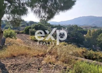 Villa Via Gallo, Davoli - foto 17