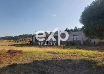 Villa Via Gallo, Davoli - foto 20