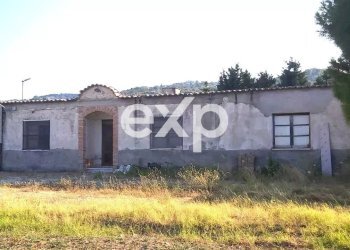 Villa Via Gallo, Davoli - foto 5