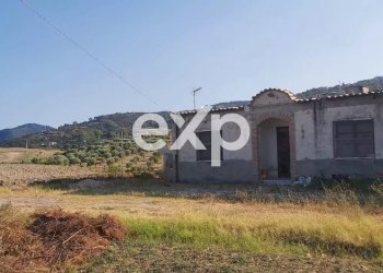 Villa Via Gallo, Davoli - foto 7