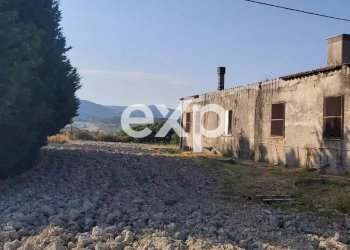 Villa Via Gallo, Davoli - foto 10