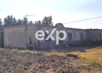 Villa Via Gallo, Davoli - foto 13
